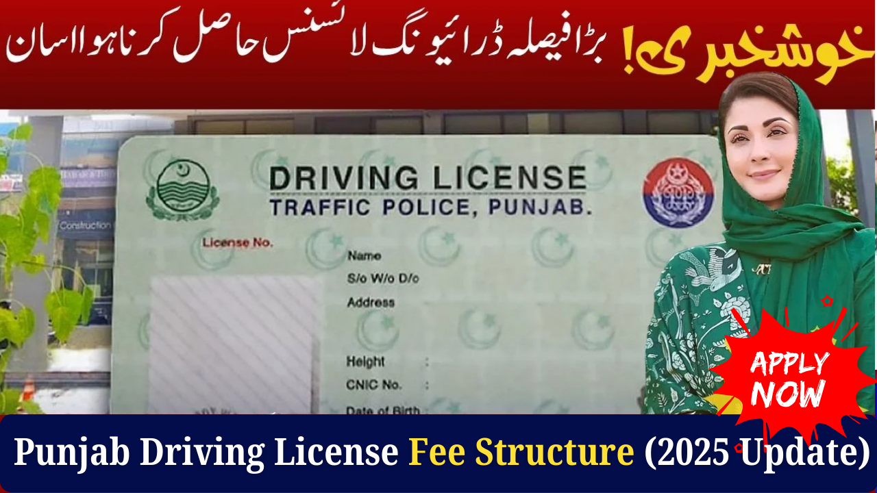 Punjab Driving License Fee Structure (2025 Update) – DLIMS Rates